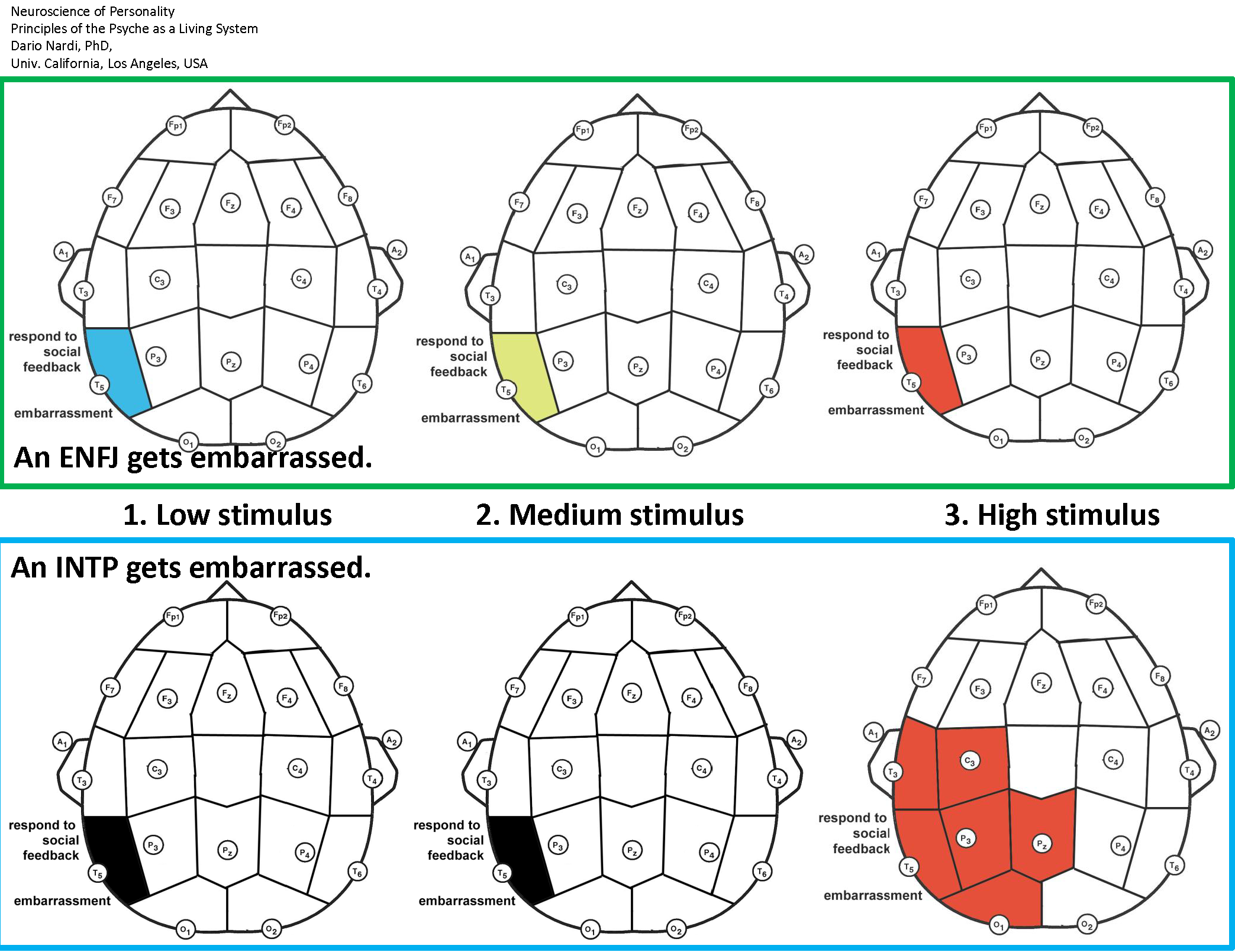 [Image: 1404867397-neuro-systems_nardi_embarrassed.png]